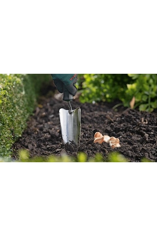 Bosch Ekim Malası - 06008B5800