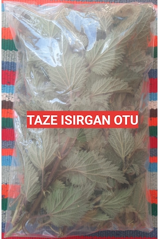 250 Gram İlaçsız Taze - Yaş Toplanmış Organik Isırgan Otu