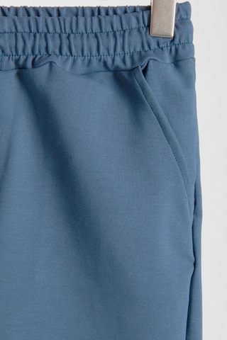Terapi Men Erkek Basic Pastel Mavi Regular Fit Şort & Bermuda Pastel Mavi