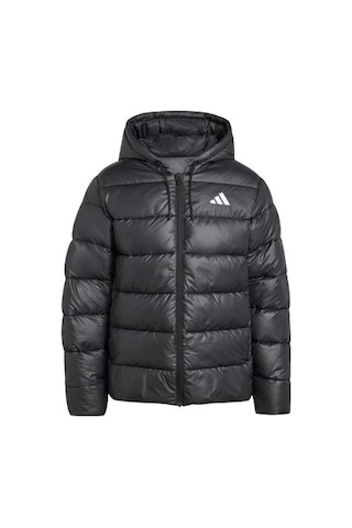 2Y Premium Adidas Sportswear Jx7787 Essentials Clımawarm Synthetic Down Puffer Hooded Açık Camel