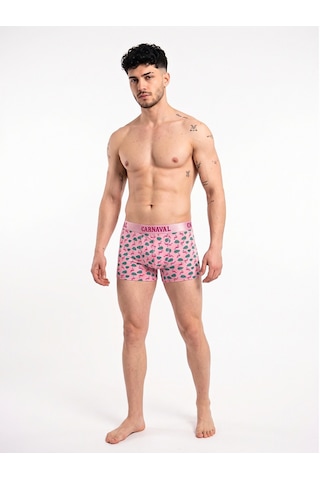Carnaval Socks Flamingo Desenli Erkek Boxer Pamuklu Likralı Parlak Lastikli Kutulu Pembe Çoklu