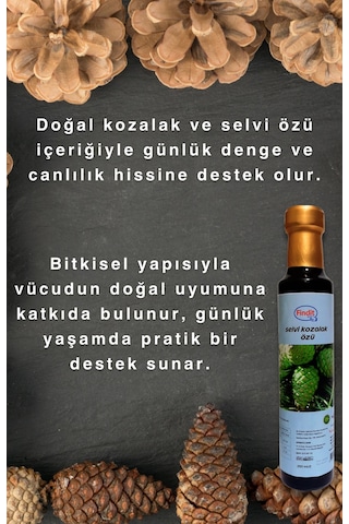 Findit Selvi Kozalak Özü Doğal Bitkisel Destek 250 Ml X 2 Adet