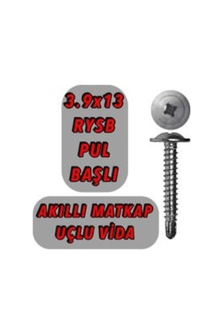 1000 Adet 3.9X13 Rysb Matkap Uçlu Akıllı Vida Pul Başlı