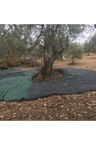 6x10 Metre Zeytin Sergisi Zeytin Toplama Filesi Fındık Fıstık Örtüsü Gölgelik Dut Meyve Sergisi Taban Örtüsü