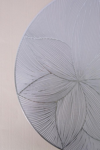 Digithome 6 Lı Amerikan Servisi Supla Yuvarlak Gümüş 38 Cm Thn76953 C1-1-18 Gümüş