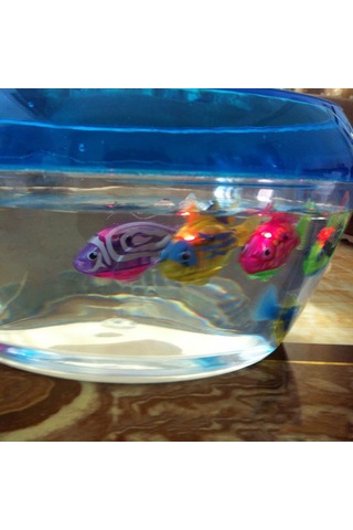 Youmex Yüzebilen Işıklı Elektrikli Akvaryum Balığı - Ev Kullanıma Uygun, Kolay Kullanımlı, Dayanıklı Materyalden Yapılmış Oyuncağı