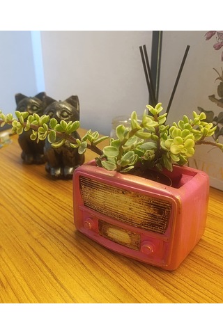 Artepieza Retro Radyo Sukulent Saksısı Ve Kalemlik - Masaüstü Dekoratif Organizer Pembe 12 8 12cm
