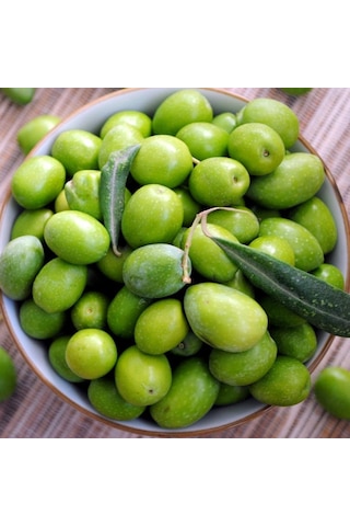 Yüksek Kalibre Aşılı Kırmalık Çekişte Zeytin Fidanı