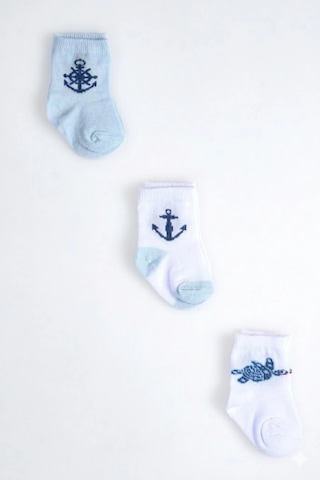 Cocole Socks Erkek Çocuk Soket Çorabı 3 Lü Set Pamuklu Kaplumbağa & Nautical Konsept Desenli Çok Renkli