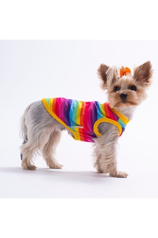 Rainbow Tişört Kedi Köpek Tişörtü-kedi Köpek Kıyafeti
