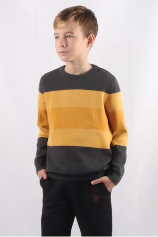 Özel Koleksiyon Renk Bloklu Çocuk Triko Kazak C21-5192 001