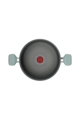 Tefal Halo Okaliptus Derin Tencere- 24 Cm 2100143071 Diğer