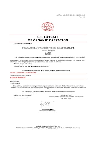 Oillives Soğuk Sıkım Naturel Sızma Zeytinyağı 5 Lt X 4 Teneke