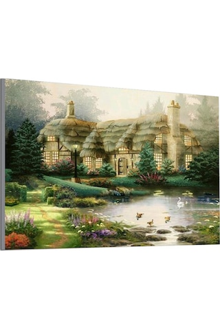 Ruicoo 5d Elmas Boyama Seti - Ev Dekoru İçin Tamamlanmış Tablo 25x30cm