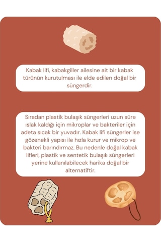 Pureal Kabak Lifi Sünger