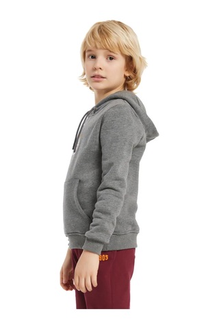 Gs Şampiyonlar Ligi Ucl Hoodie 230613k Gri