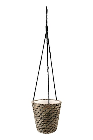 Asma Saksı, Su Sümbülü, 14 Cm 3 Adet