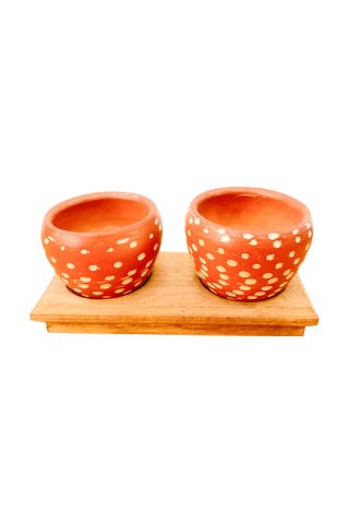 Bitki Tasarımı Ev Dekorasyon Aksesuar Beyaz Nokta Terakota Saksı İkili Ahşap Tabanlı Çiçeklik Saksı Saksılık 1 L