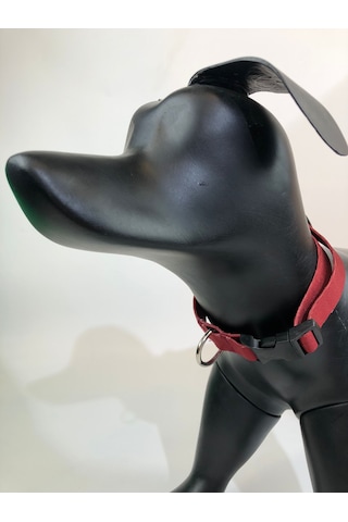 Mita Ayarlanabilir Köpek Boyun Tasması Kırmızı