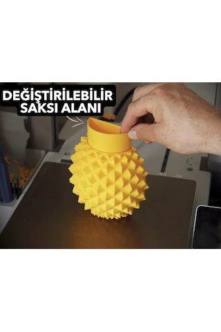 Ananas Şekilli Kedi Kaşıma Aparatı Kedi Çimi Eklenebilir Duvar