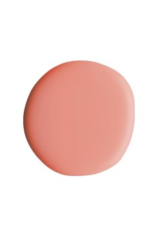 Alix Avien Oje 48 Yüksek Pigmentli Uzun Süreli Kalıcılık Hızlı Kuruma Nail Lacquer 48