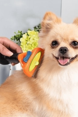 Büro Ev Evcil Hayvanı İçin Uzun Tüylü İri Köpek Tüy Toplayıcı Tarak