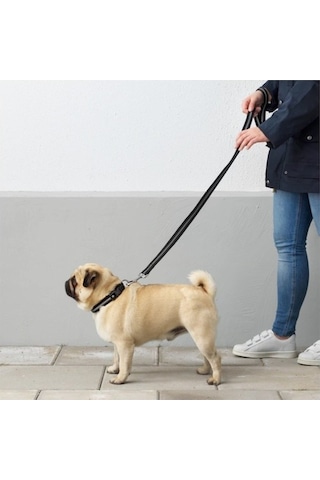 Lurvig Siyah Reflektörlü 32 Kg'a Kadar Köpekler İçin Tasma Kayışı
