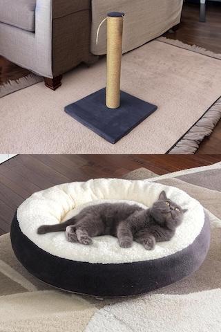 Premium Kedi Başlangıç Seti - Lüks Kapalı Kedi Tuvaleti, Taşıma Sepeti, Yatak, Tırmalama, 3 Kat