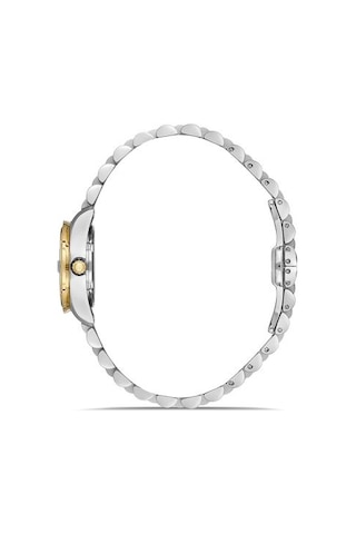 Ql156t-15sg Hislon Kol Saati 22 Mm / Gümüş-gold Gri
