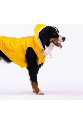 Pawstar Sarı Railway Orta ve Büyük Irklar İçin Anorak Yelek Köpek Yeleği