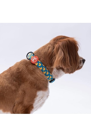 Pawstar Ducks Boyun Tasması M Boyun Çevresi: 32 Cm X 48 Cm Çok Renkli