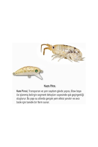 Hanfish Bıdık 35mm 3.1gr Maket Balık X128 Kum Pire