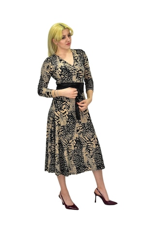 Kadın Viskon Leopar Desenli V Yaka Elbise Bgl-st03536 001