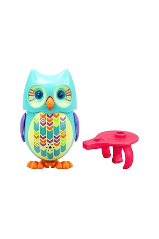 Mini Hoot Baykuş Asorti Turkuaz