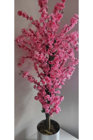 Rüzgar Çiçekcilik 145 Cm Pembe Metal Saksıda Bahardali Pembe