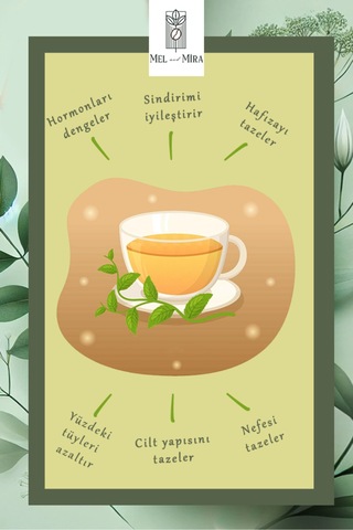 Premium Spearmint Tea Kıvırcık Nane 50g