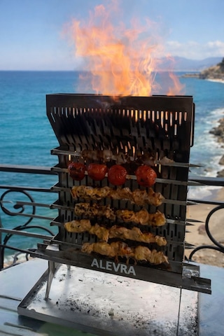 Şiş Mangal Izgara