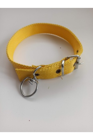 Kozaklı Orta Irk Köpek Tasması Sarı 60 x 3 CM