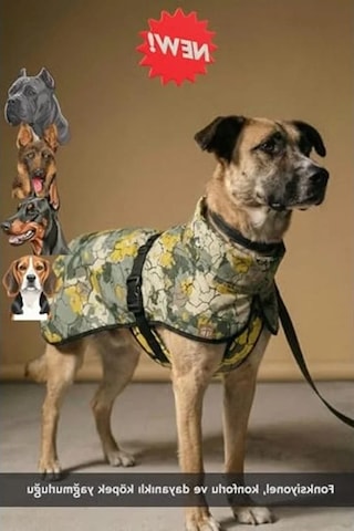 2as Büyük Irk Köpekler İçin Yağmurluk, 9-55 Kg Arası Uygun 142335