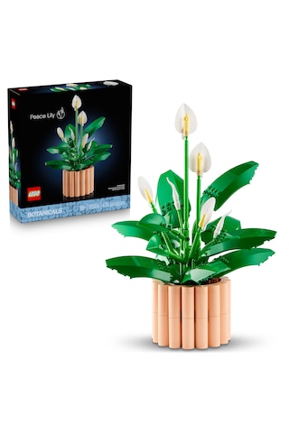 LEGO® Botanicals Barış Çiçeği 11504 - Yetiskinler için 6 Baris Çiçegi Içeren Koleksiyonluk Dekoratif Model Yapim Seti (474 Parça)
