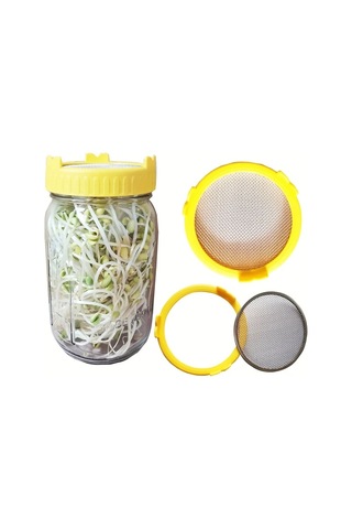 Willowhaven Evde Kendiniz Sağlıklı Yeşil Filiz Yetiştirme Kiti 1 Adet