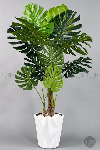 Biçiçek Yapay Monstera Ağacı Deve Tabani 160 Cm Beyaz Luna Saksıda