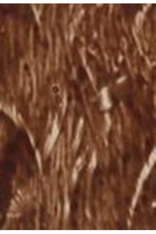 Cadence Eskitme Boyası 120Ml - 302 Kahverengi