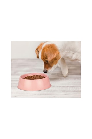 Mikopet Büyük Yuvarlak Mama Kabı 21,5 6,5 Cm