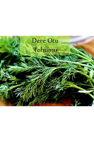 Dere Otu Tohumu 1 Paket Gönen Dere Otu Tohumu Kapalı Paket Yüksek Verimli Tohum Dereotu Tohumu