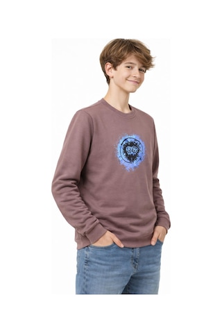 Baglan Erkek Çocuk Ön Arka Baskılı Sweatshirt Bgl-st05230 Vizon