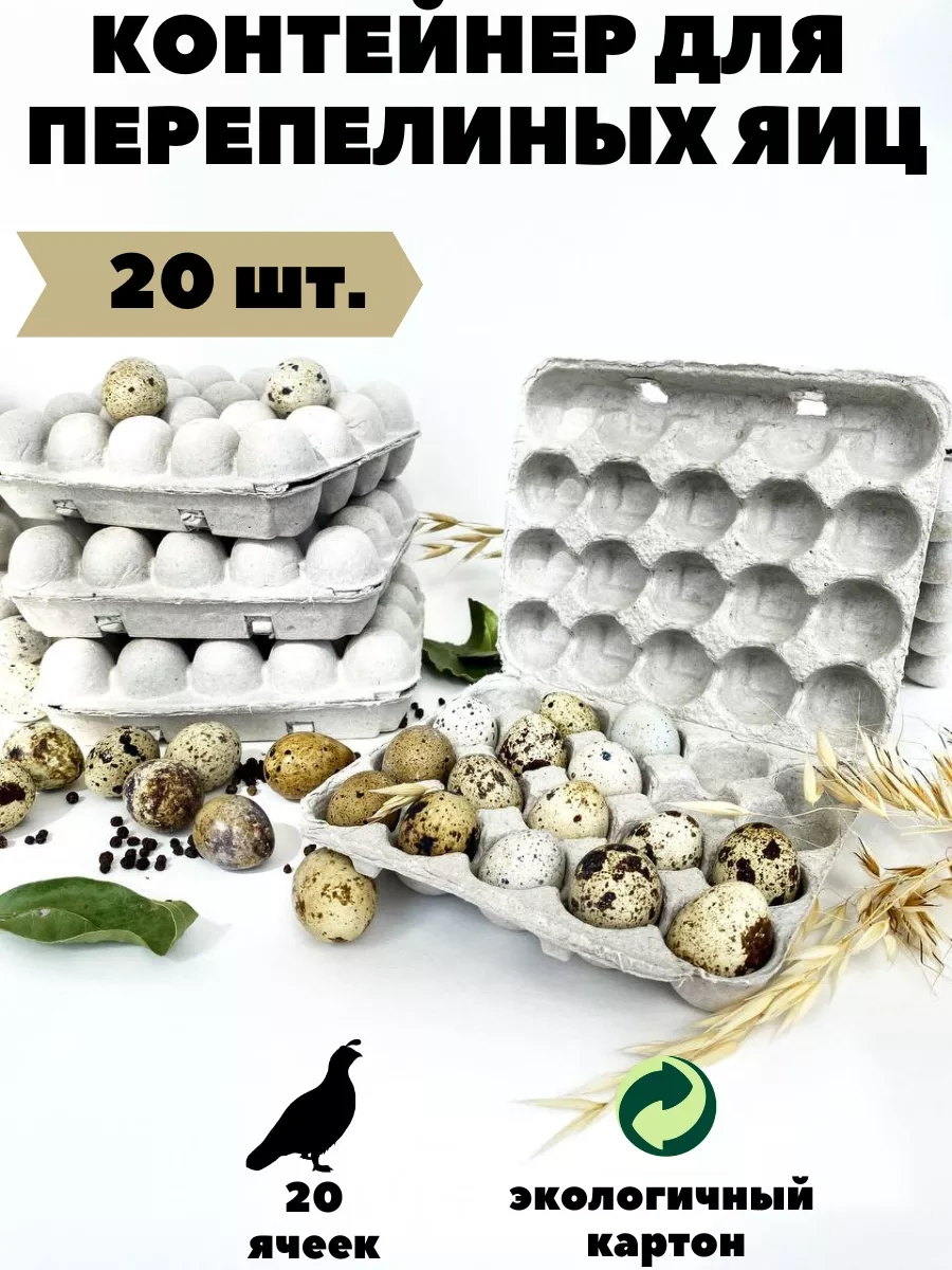 Tpt 20 Gözlü Bıldırcın Yumurtası Paketi 173910803 Bej