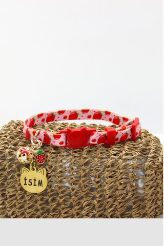 Caramelos Güvenlik Kilitli Kedi Tasması İsimli Kedi Tasması Clk-k