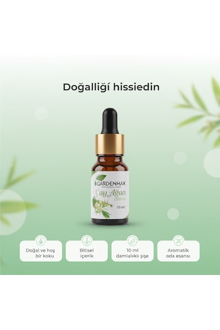 Gardenmax Buhurdanlık Esasnsı Çay Ağacı Çay Ağacı