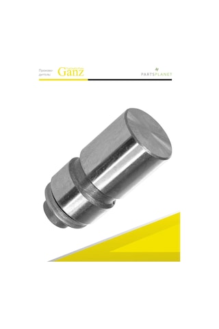 Ganz Ford Fiesta, Escort, Chery Amulet İçin Su Emici Valf 271179666